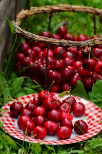 cherries-1503977_960_720